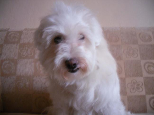 Name:  SDC11826 copy.jpg
Views: 675
Size:  21.2 KB