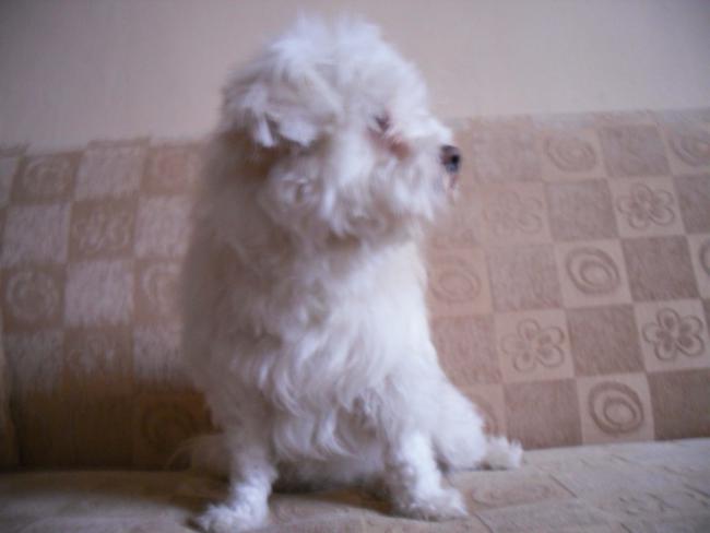 Name:  SDC11827 copy.jpg
Views: 682
Size:  23.3 KB