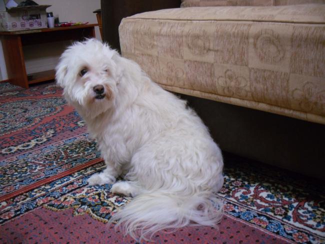 Name:  SDC11840 copy.jpg
Views: 690
Size:  49.8 KB
