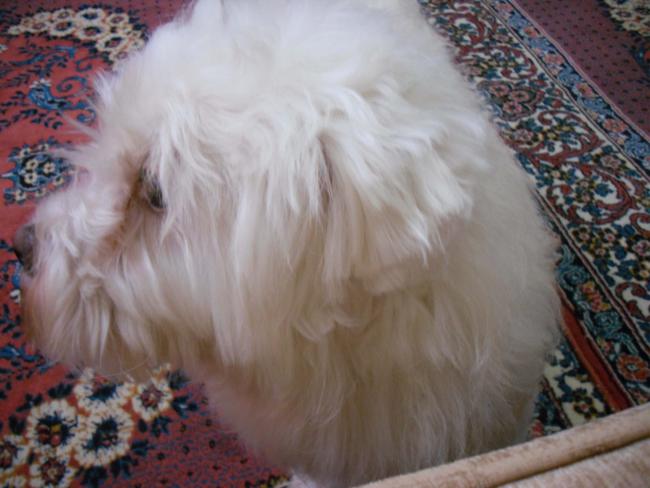 Name:  SDC11843 copy.jpg
Views: 668
Size:  41.3 KB