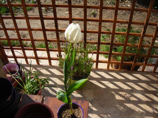 Name:  DSCN4295.jpg
Views: 520
Size:  68.6 KB