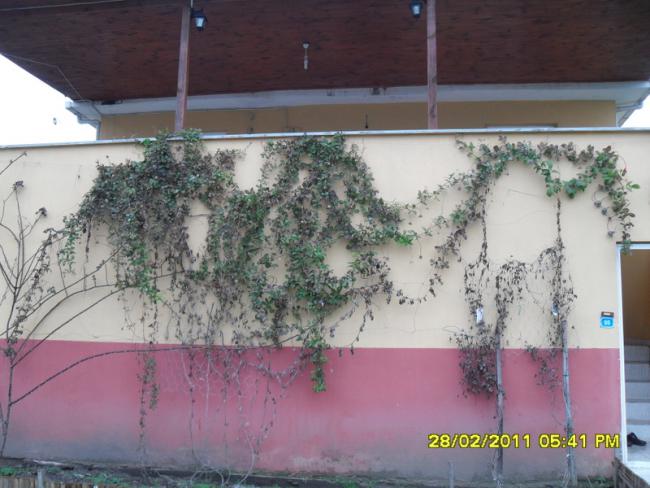 Name:  007.jpg
Views: 1053
Size:  47.9 KB
