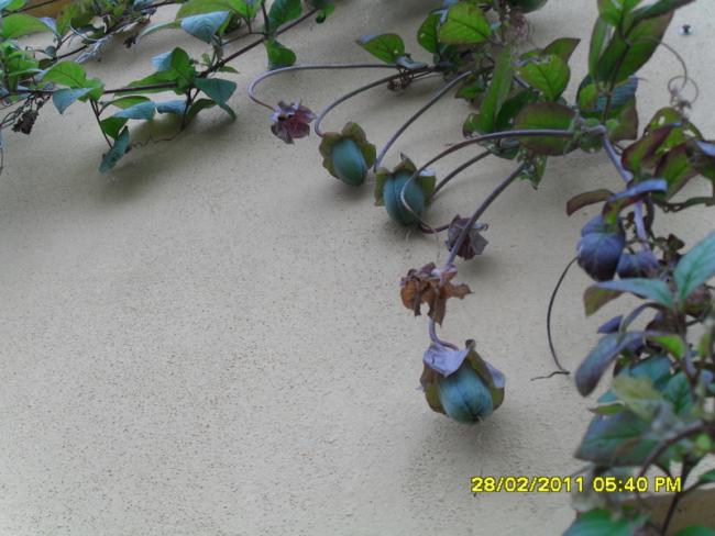 Name:  006.jpg
Views: 1073
Size:  47.1 KB