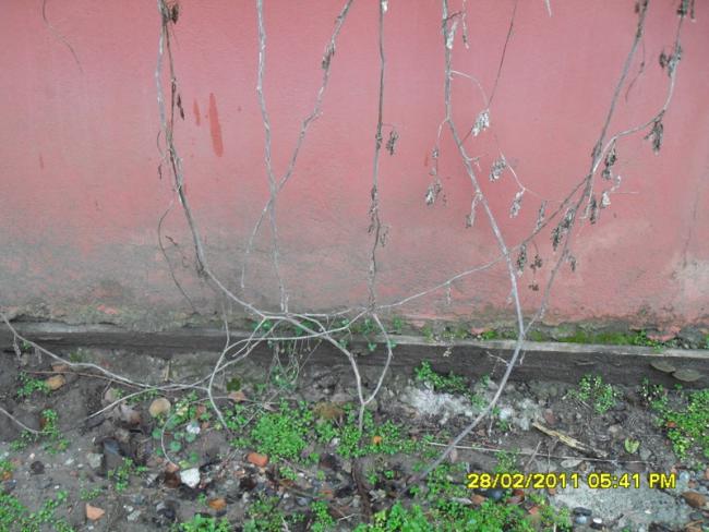Name:  008.jpg
Views: 1051
Size:  51.7 KB