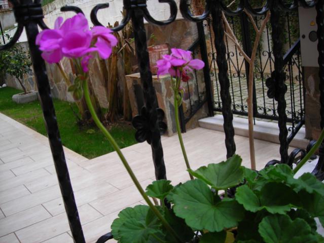 Name:  DSCN4343.jpg
Views: 501
Size:  49.6 KB