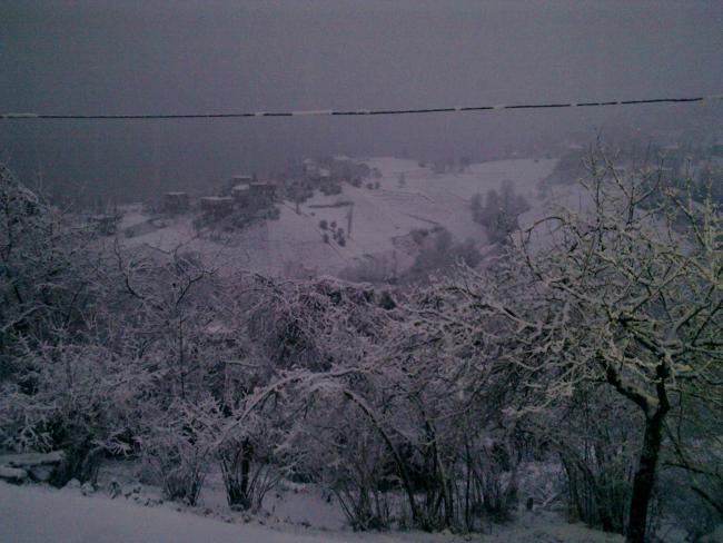 Name:  Resim7 024.jpg
Views: 707
Size:  47.7 KB