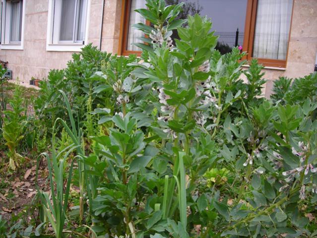 Name:  DSCN4362.jpg
Views: 647
Size:  69.5 KB