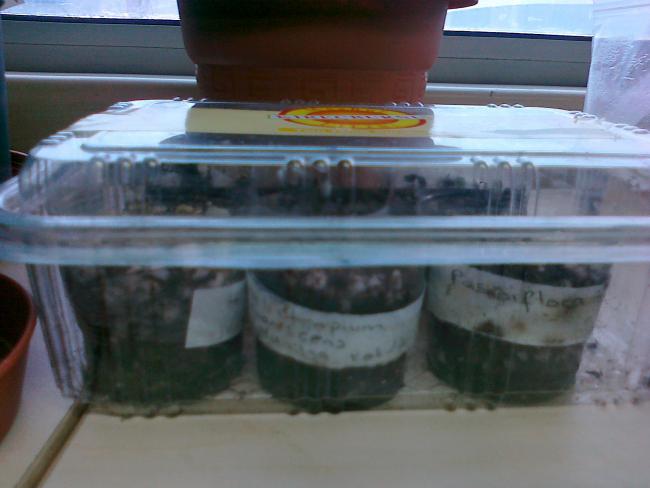 Name:  07032011283.jpg
Views: 685
Size:  34.0 KB