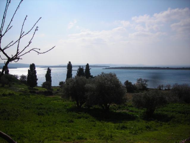 Name:  DSCN4399.jpg
Views: 611
Size:  32.5 KB