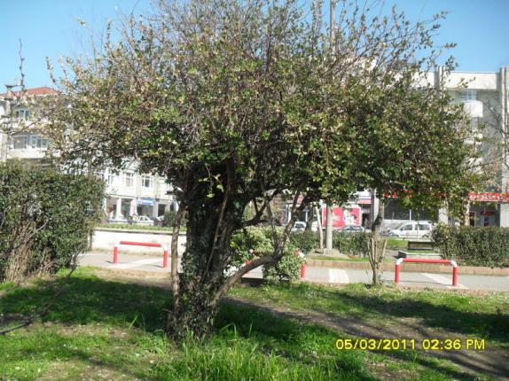 Name:  037.jpg
Views: 843
Size:  71.8 KB