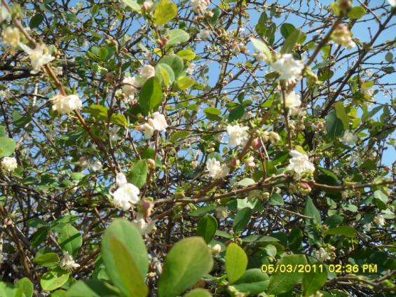 Name:  038.jpg
Views: 881
Size:  74.4 KB