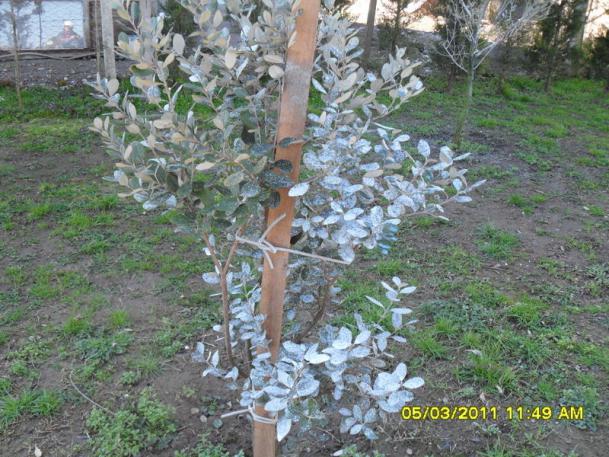 Name:  006.jpg
Views: 1465
Size:  71.6 KB