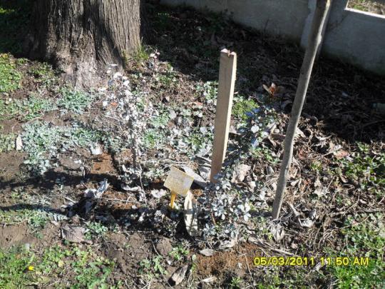 Name:  012.jpg
Views: 1124
Size:  73.5 KB