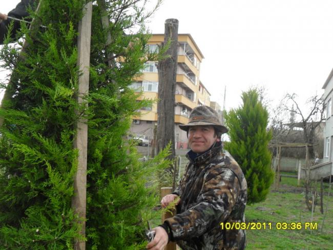 Name:  008.jpg
Views: 1849
Size:  60.1 KB