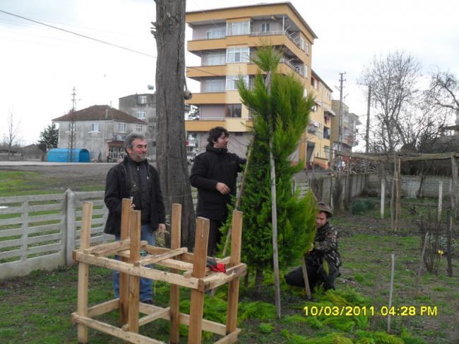 Name:  018.jpg
Views: 1061
Size:  56.9 KB