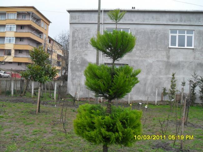 Name:  026.jpg
Views: 1088
Size:  58.8 KB