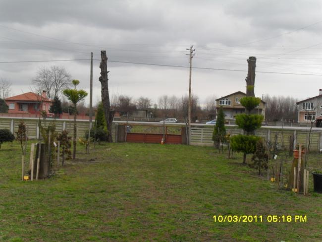 Name:  022.jpg
Views: 1094
Size:  42.3 KB