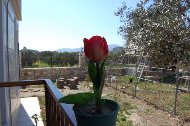 Name:  DSC_0577.jpg
Views: 575
Size:  50.0 KB