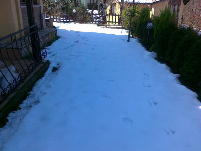 Name:  12032011297.jpg
Views: 613
Size:  36.4 KB