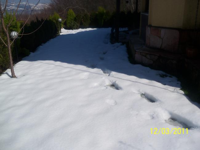 Name:  100_1679.jpg
Views: 563
Size:  27.3 KB