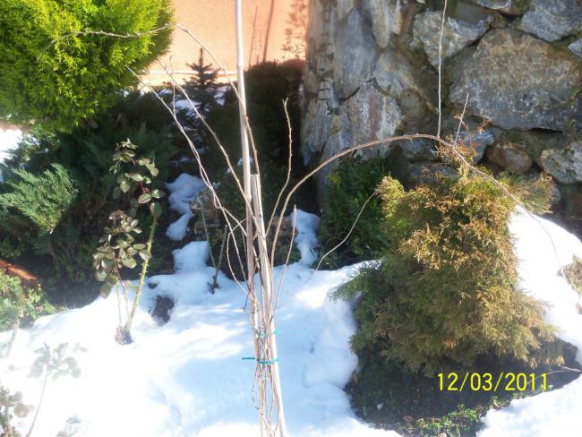 Name:  100_1657.jpg
Views: 454
Size:  64.7 KB