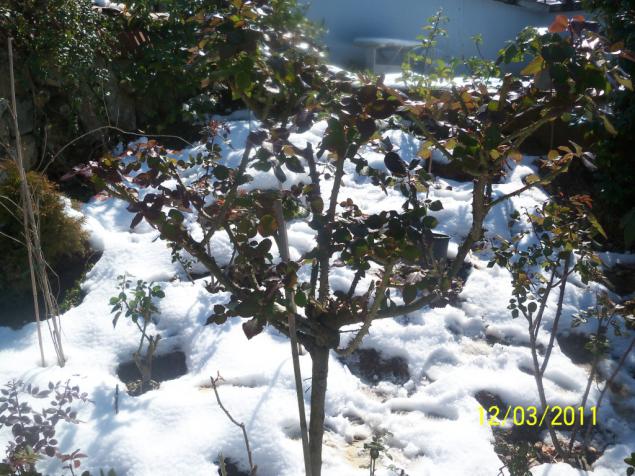 Name:  100_1647.jpg
Views: 459
Size:  71.0 KB