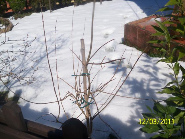 Name:  100_1670.jpg
Views: 441
Size:  52.7 KB