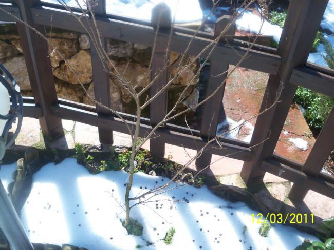 Name:  100_1677.jpg
Views: 454
Size:  58.6 KB