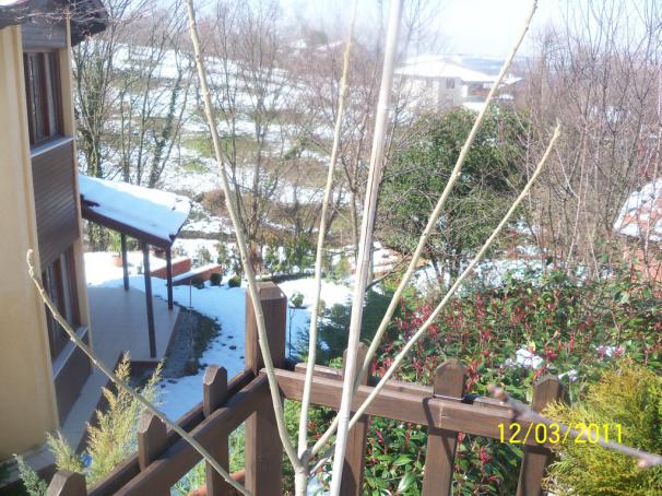 Name:  100_1682.jpg
Views: 452
Size:  71.0 KB