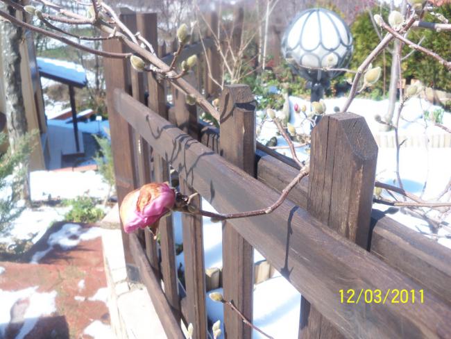 Name:  100_1674.jpg
Views: 471
Size:  57.9 KB