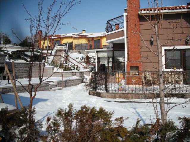 Name:  DSCF2013.jpg
Views: 2248
Size:  63.6 KB