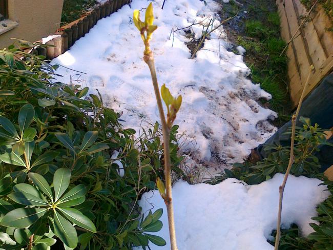 Name:  12032011320.jpg
Views: 466
Size:  69.4 KB