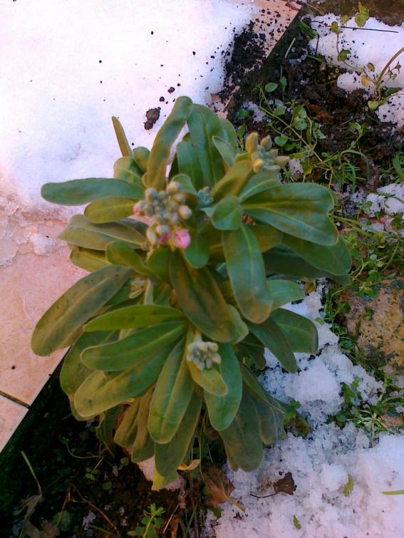 Name:  12032011338.jpg
Views: 470
Size:  73.3 KB