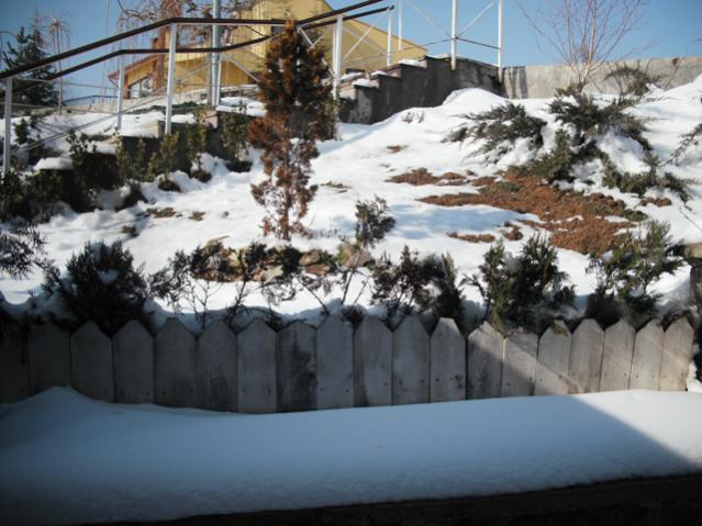 Name:  DSCF2022.jpg
Views: 2492
Size:  52.6 KB