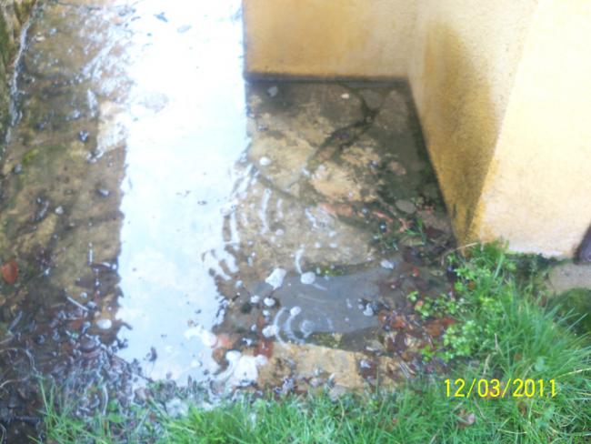 Name:  100_1741.jpg
Views: 1039
Size:  47.6 KB