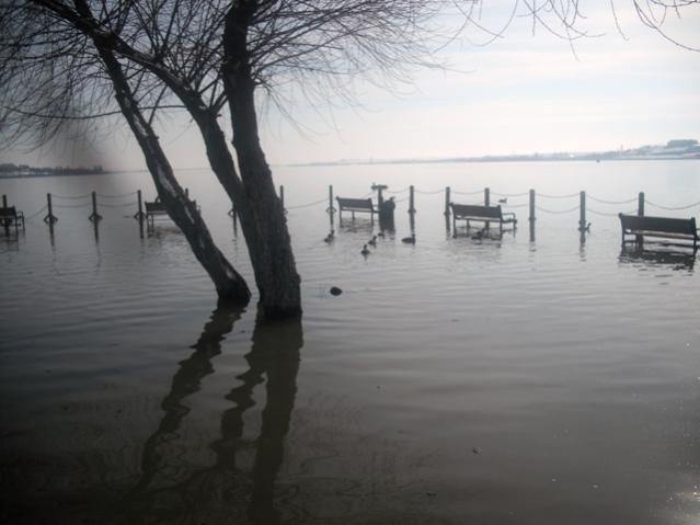 Name:  DSCF2052.jpg
Views: 2343
Size:  33.0 KB