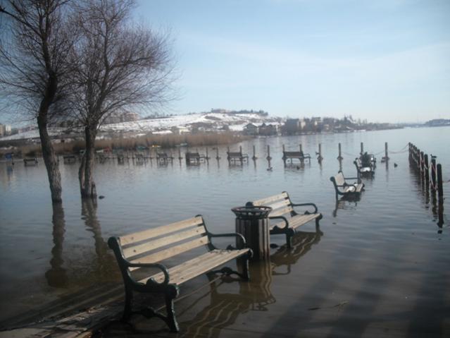 Name:  DSCF2046.jpg
Views: 3512
Size:  36.3 KB