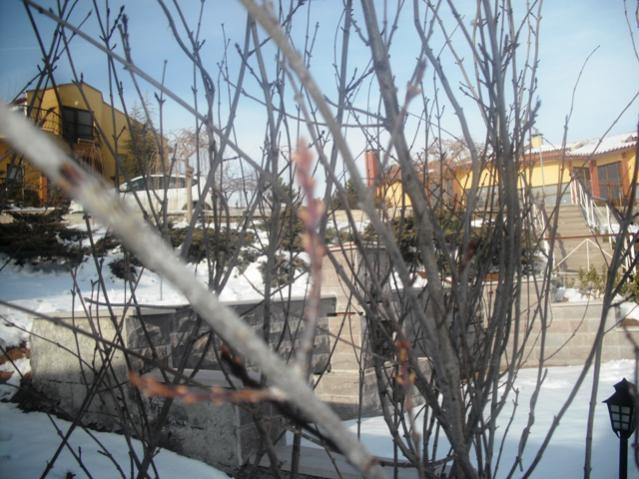 Name:  DSCF2058.jpg
Views: 2613
Size:  59.3 KB
