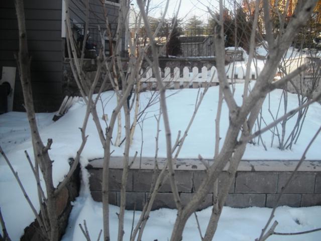 Name:  DSCF2061.jpg
Views: 2229
Size:  46.2 KB