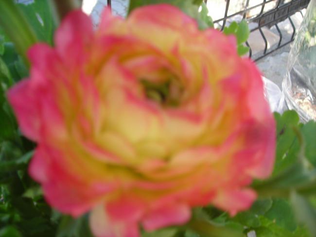 Name:  DSCN4421.jpg
Views: 521
Size:  27.3 KB
