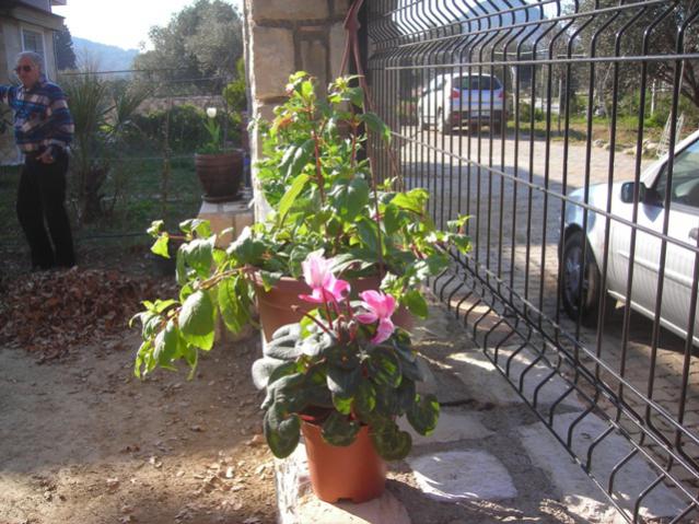 Name:  DSCN4430.jpg
Views: 525
Size:  65.0 KB
