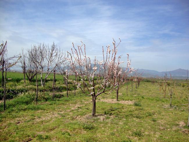 Name:  13.3.2011 kays.jpg
Views: 735
Size:  58.0 KB