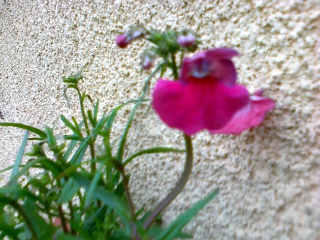 Name:  19032011382.jpg
Views: 1013
Size:  66.1 KB