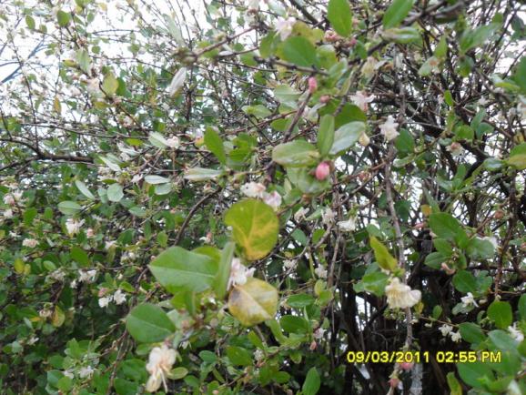 Name:  001.jpg
Views: 643
Size:  74.1 KB