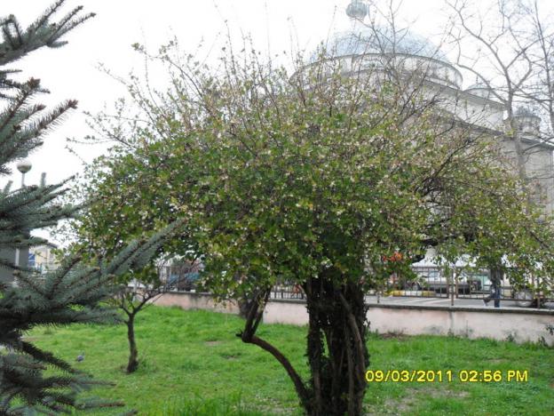 Name:  003.jpg
Views: 628
Size:  70.8 KB