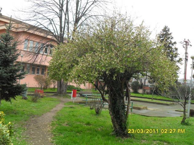 Name:  001.jpg
Views: 1024
Size:  70.7 KB