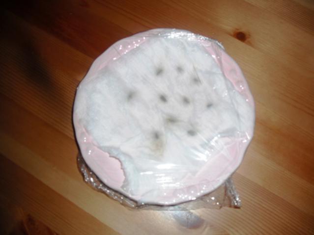Name:  DSCF2040.jpg
Views: 1008
Size:  25.2 KB