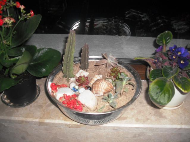 Name:  DSCF2049.jpg
Views: 1351
Size:  40.5 KB