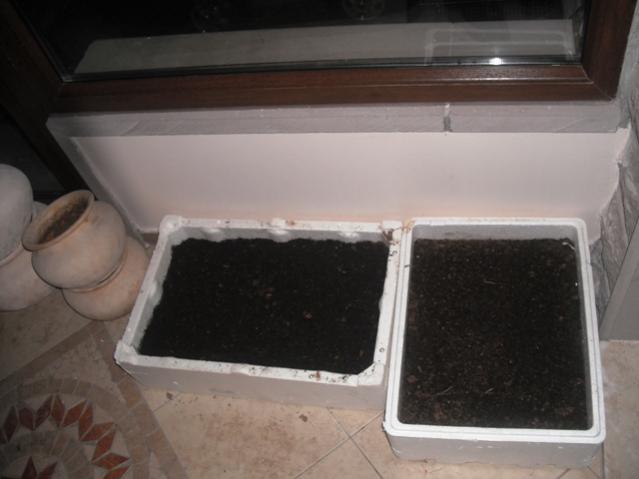 Name:  DSCF2069.jpg
Views: 1483
Size:  29.4 KB