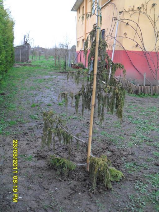 Name:  037.jpg
Views: 815
Size:  69.7 KB